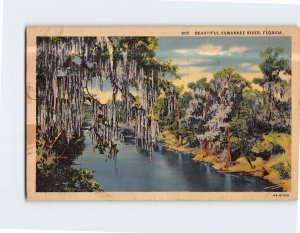 Postcard Beautiful Suwannee River Florida USA