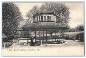 1905 Siluvian Spring Gazebo Exterior Waukesha Wisconsin Vintage Antique Postcard