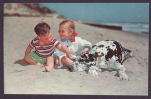 Dog on the Beach Post Card K147