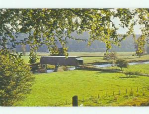 Unused Pre-1980 BRIDGE SCENE near Cathlamet Washington WA HQ9120