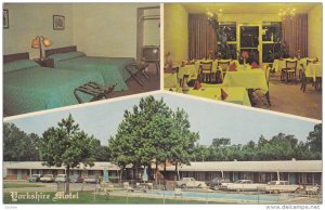 Multi-View, Swimming Pool, Yorkshire Motel, U.S. 17, JACKSONVILLE, North Caro...