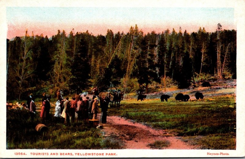 Yellowstone National Park Tourists and Bears Haynes Photo