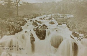 1920's Swallow Falls MD Real Photo Postcard RPPC Maryland