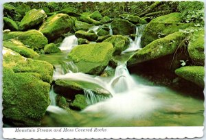 Mountain Stream and Moss Covered Rocks, Great Smoky Mountains National Park - TN 