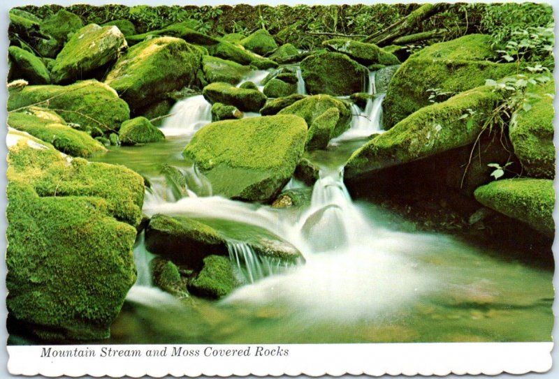 Mountain Stream and Moss Covered Rocks, Great Smoky Mountains National Park - TN 