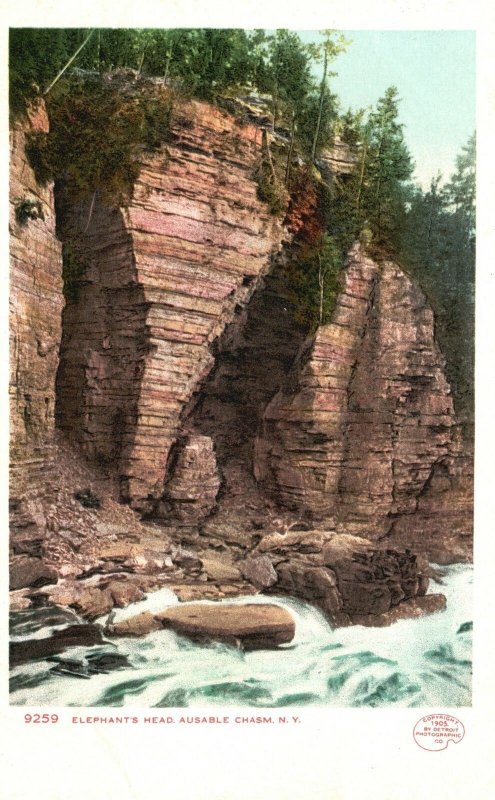 Vintage Postcard Elephant's Head Scenic Rock Formation Ausable Chasm New York NY