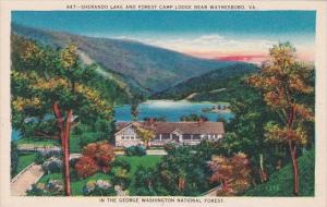 Virginia Waynesboro Sherando Lake And Forest Camp Lodge In the George Washing...