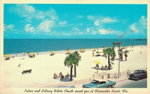 USA Palms and Billowy White Clouds Clearwater Beach Florida Postcard 07.36