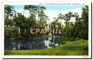 Postcard Old In The Mountain Lake Sanctuary Lake Wales Fla