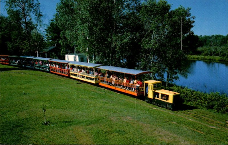 Toonerville Trolley Miniature Train Michigan