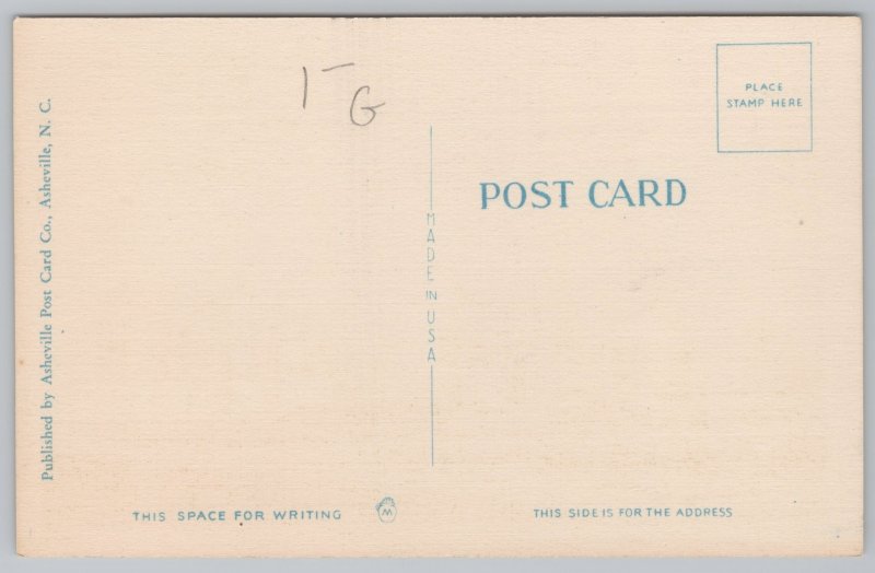 Roanoke Virginia~US Veterans Administration Facility~Bldg 1&2~Linen Postcard