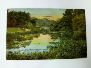Vintage Postcard Lily Pond Lincoln Park Chicago Ill Posted 1908