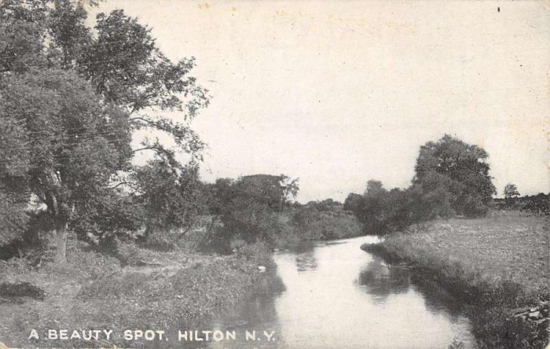 Hilton New York Beauty Spot Scenic River Antique Postcard K26427