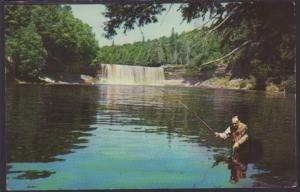 Upper Tahquamenon Falls,MI Postcard BIN