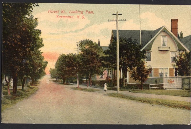 Nova Scotia YARMOUTH Forest Street looking East pm1908  Divided Back