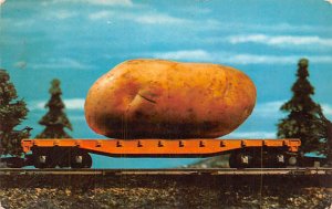 Potato Maine, USA Unused 