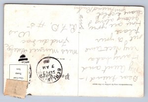 K2/ Berlin Wisconsin Postcard c1910 Cyclone Disaster Troxell Lumber Tree 506