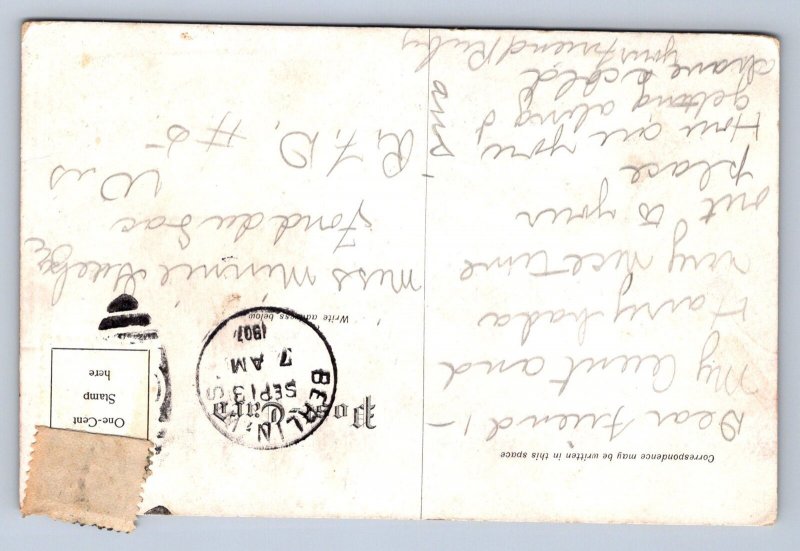 K2/ Berlin Wisconsin Postcard c1910 Cyclone Disaster Troxell Lumber Tree 506