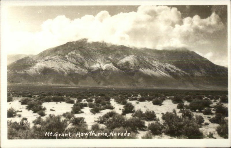 Hawthorne NV Mt. Grant Real Photo Postcard United States Nevada Other, Postcard / HipPostcard