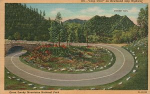 Vintage Postcard 1947 Loop Over On Newfound Gap Highway Great Smoky Mountains