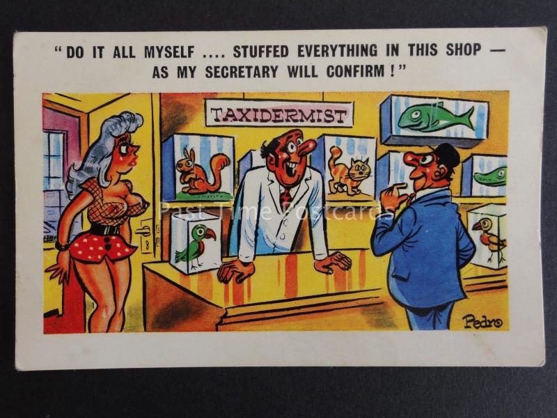 Comic Taxidermist Theme STUFFED EVERYTHING IN THIS SHOP Old postcard by Pedro