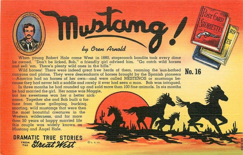 #16.  Postcard Storiette Mustang Linen Postcard True Stories From The West