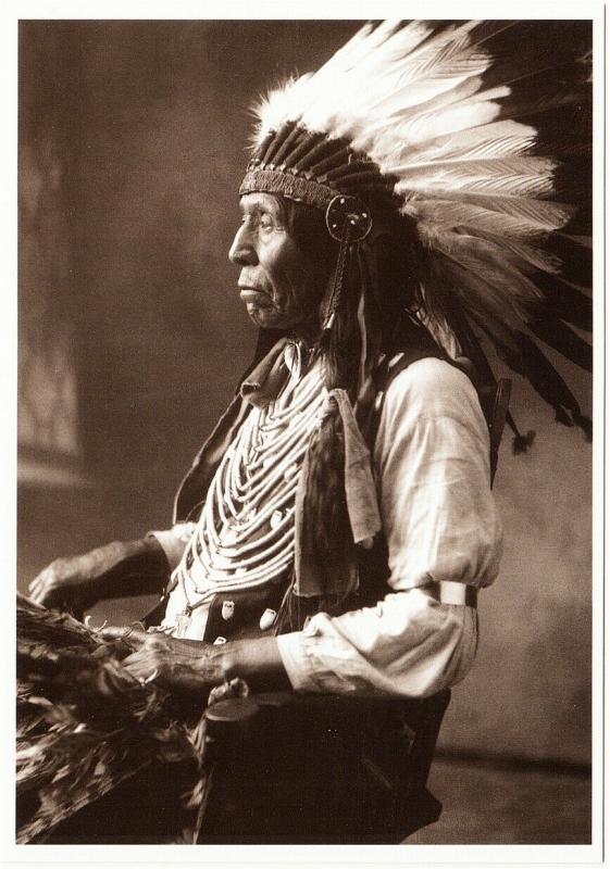 Wild Horse Oglala Lakota Chief Native American Modern Postcard