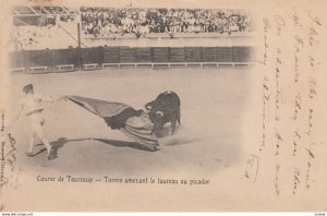 Course de Taureaux - Torero amenant le laureau au picador , 1904
