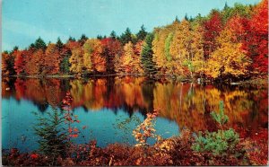 Greetings From Phoenixville Connecticut CT Fall Reflection Lake Postcard VTG UNP 