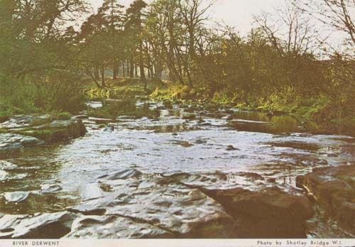 River Derwent Borrowdale Durham Womens Institute Postcard