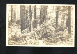 RPPC COOKSBURG PENNSYLVANIA PA. STATE PARK VINTAGE REAL PHOTO POSTCARD