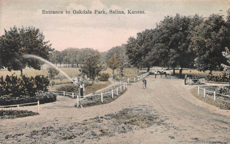 Entrance to Oakdale Park, Salina, Kansas, early hand colored postcard, unused