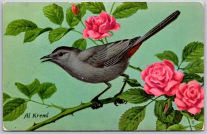 Vtg Catbird National Wildlife Federation Artist Signed Al Kreml 1950s Postcard