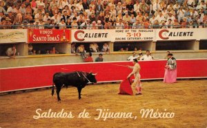 Tijuana B.C. Mexico Saludos de bull fighting ring matador vintage pc ZD549960
