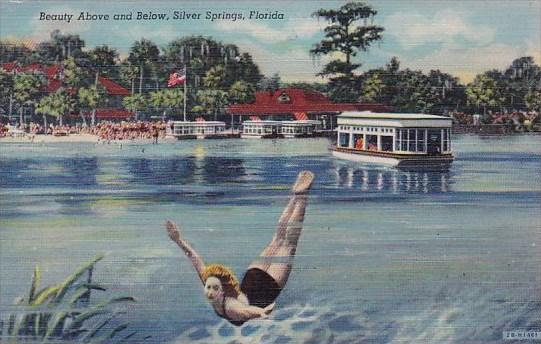 Beauty Above And Below Silver Springs Florida