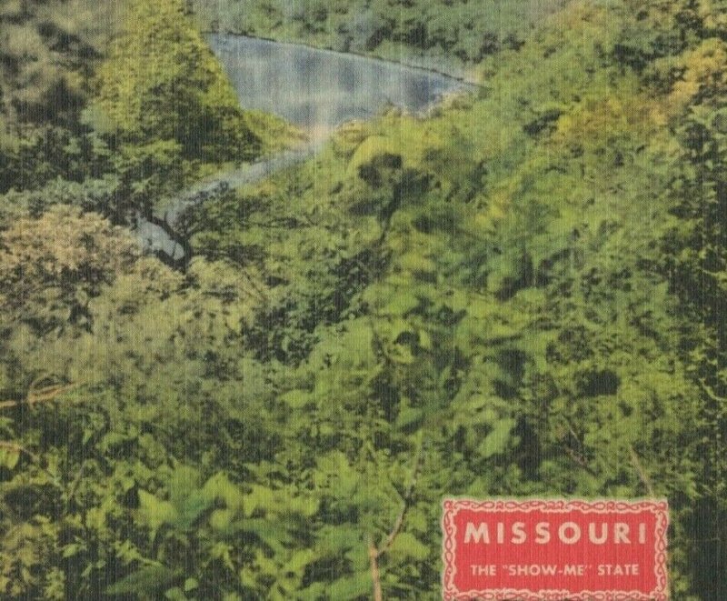 Lake Taneycomo Cedar Point Missouri Aerial View c1940s linen postcard D918 