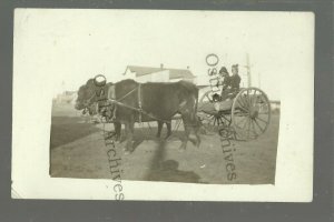 Badger MINNESOTA RPPC c1910 COW CART Main Street nr Roseau Greenbush Karlstad