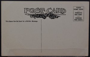 Aspen and Pine Trees on Trail - c.1908