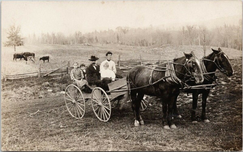 Portrait of Family of 6 Horse Wagon Farm Farmland Unused Real Photo Postcard G25 