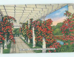 Unused Linen PARK SCENE Rockford Illinois IL H2215