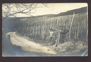 RPPC LIESER GERMANY 1919 VINEYARD WINERY WWI VINTAGE REAL PHOTO POSTCARD