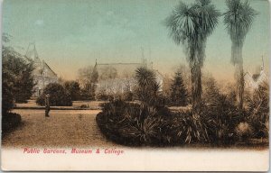 Public Gardens Museum & College NZ New Zealand Unused Postcard E70