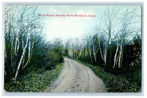 c1910 Birch Road, Kenney Park, Hartford Connecticut CT Unposted Postcard 