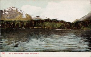 En El Lago Nahuel Huapi Argentina Rio Negro 4 Cuatro Centavos Stamp Postcard H52