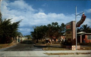 Riviera Beach Florida FL Motel 1950s-60s Postcard