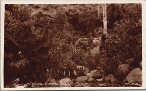 South Africa Cape Town The Rockery Kirstenbosch Vintage RPPC C149