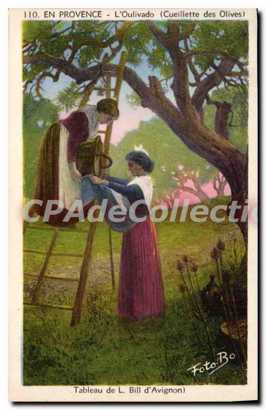 Old Postcard En Provence Oulivado the picking olives