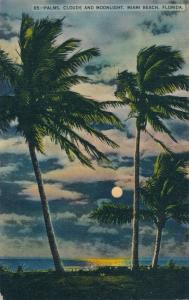 Palms, Clouds, and Moonlight - Miami Beach FL, Florida - pm 1939 - Linen