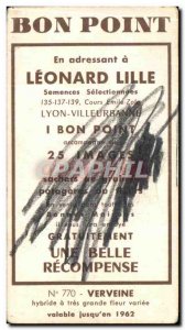 Image Flowers Leonard Lille Vervain