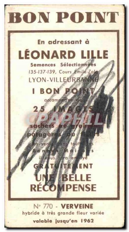 Image Flowers Leonard Lille Vervain